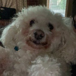 Meet your Posher, Austin